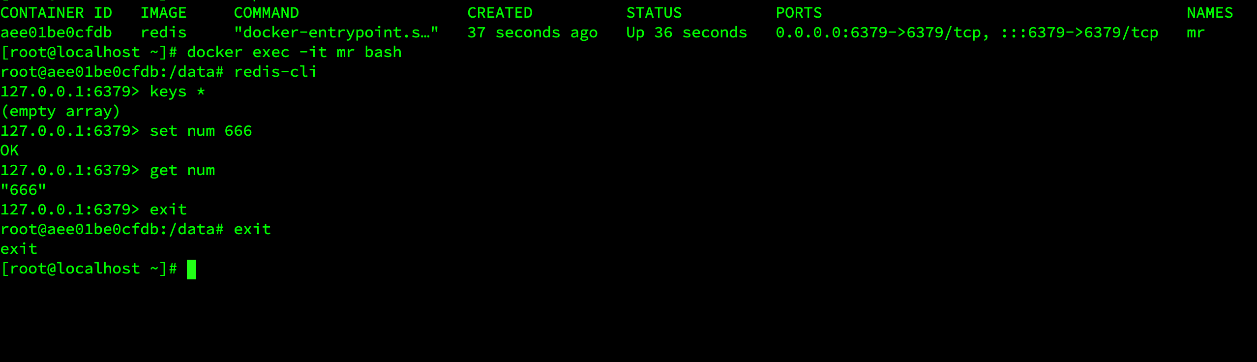 image-20240506193634711
