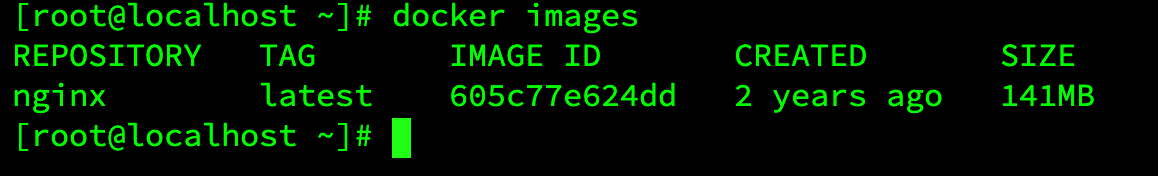 image-20240505230246747